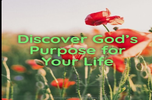 8 Ways to Discover God’s Purpose for Your Life