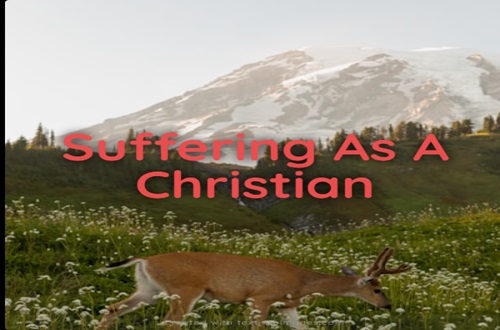 Suffering