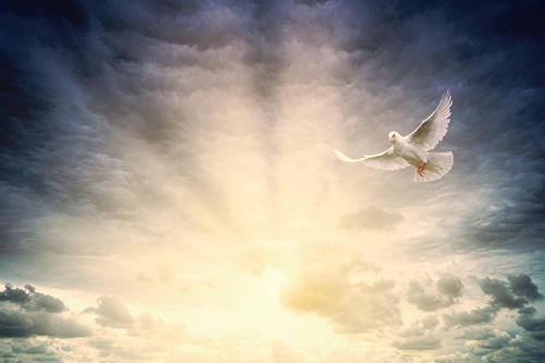Blasphemy Against the Holy Spirit