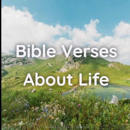 Bible Verses About Life